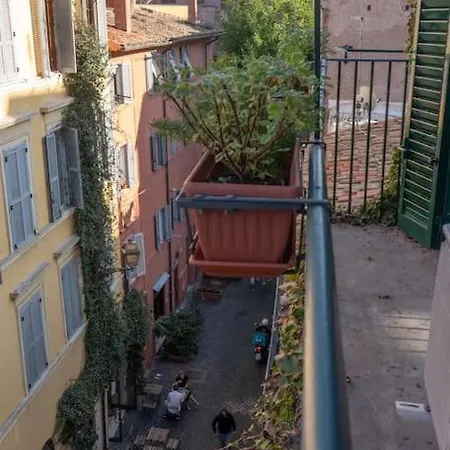 Amazing Terrace In Trastevere
