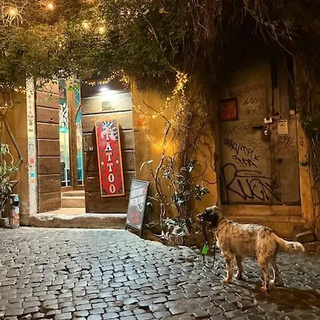Amazing Terrace In Trastevere 아파트 로마